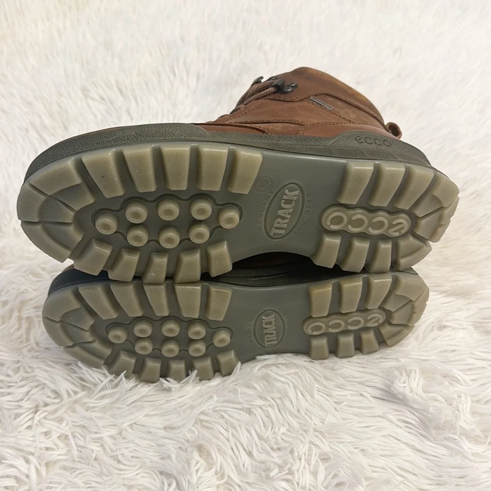 NEW ECCO Men’s Track 25 High Gore Tex Hiking Boot Bison brown leather size US 5